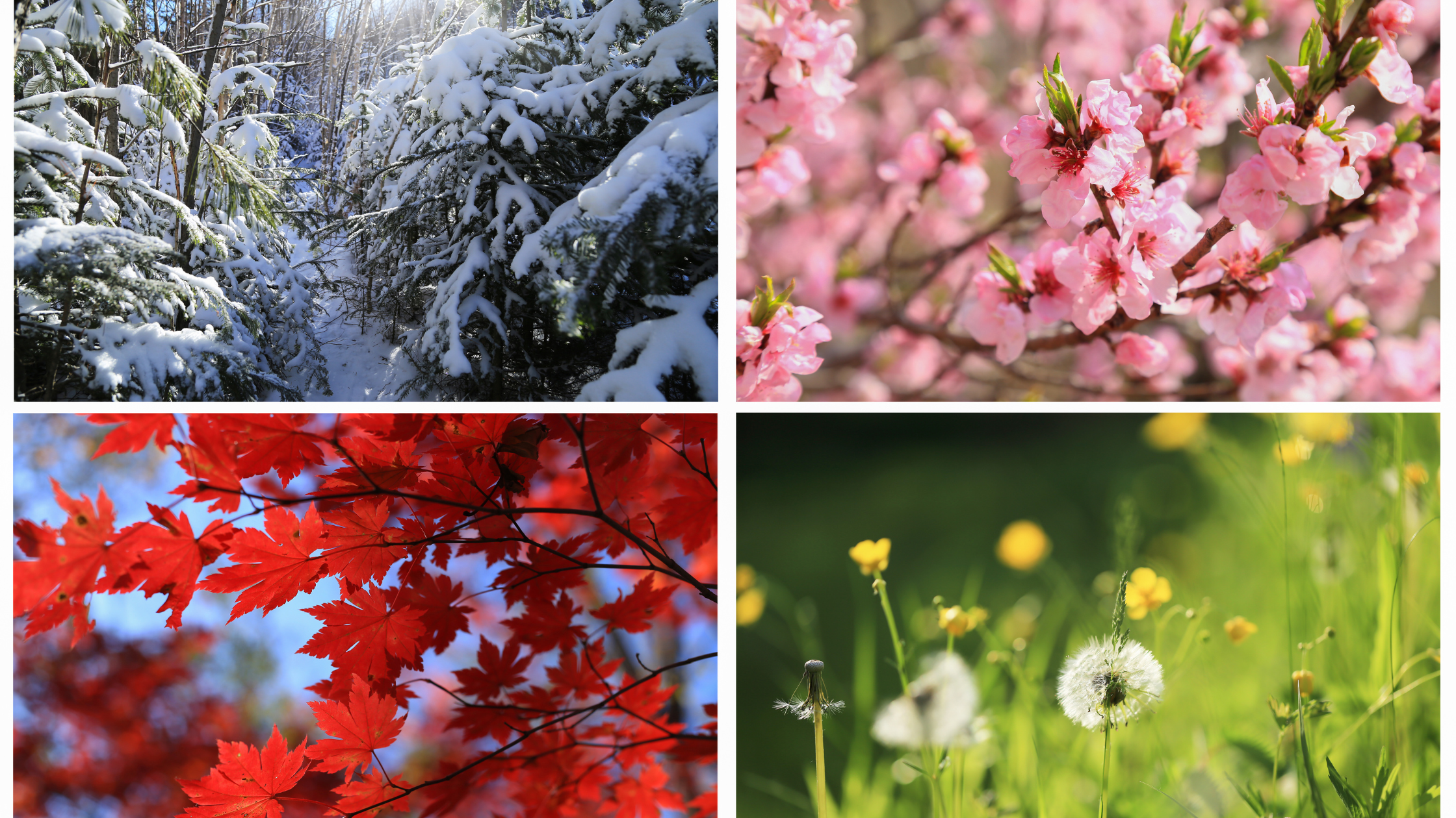 Seasonal Skincare Reset: How to Protect Your Skin Barrier Year-Round