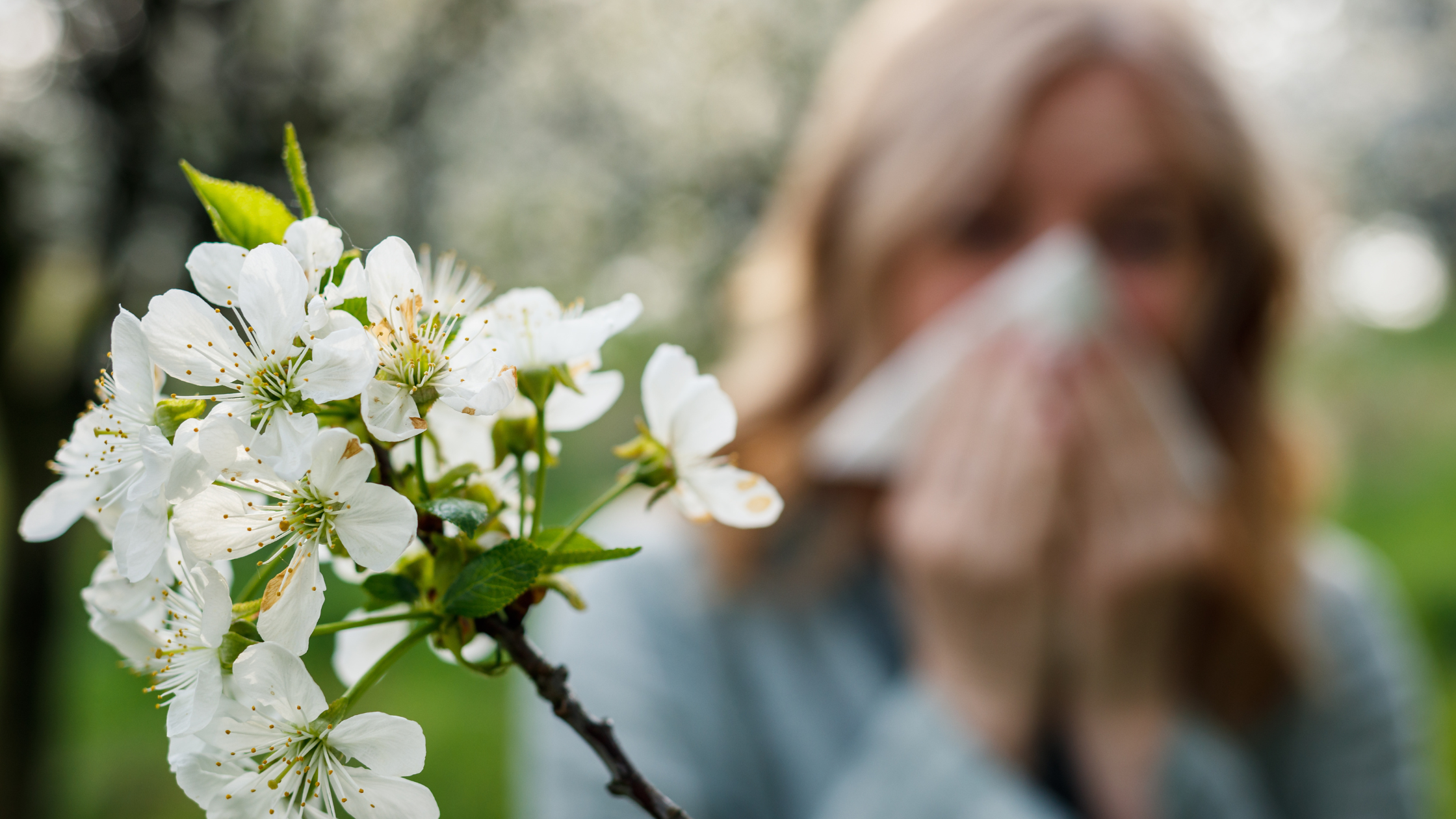 Prep Your Skin for Spring Allergies: Combatting Sensitivity & Redness ...