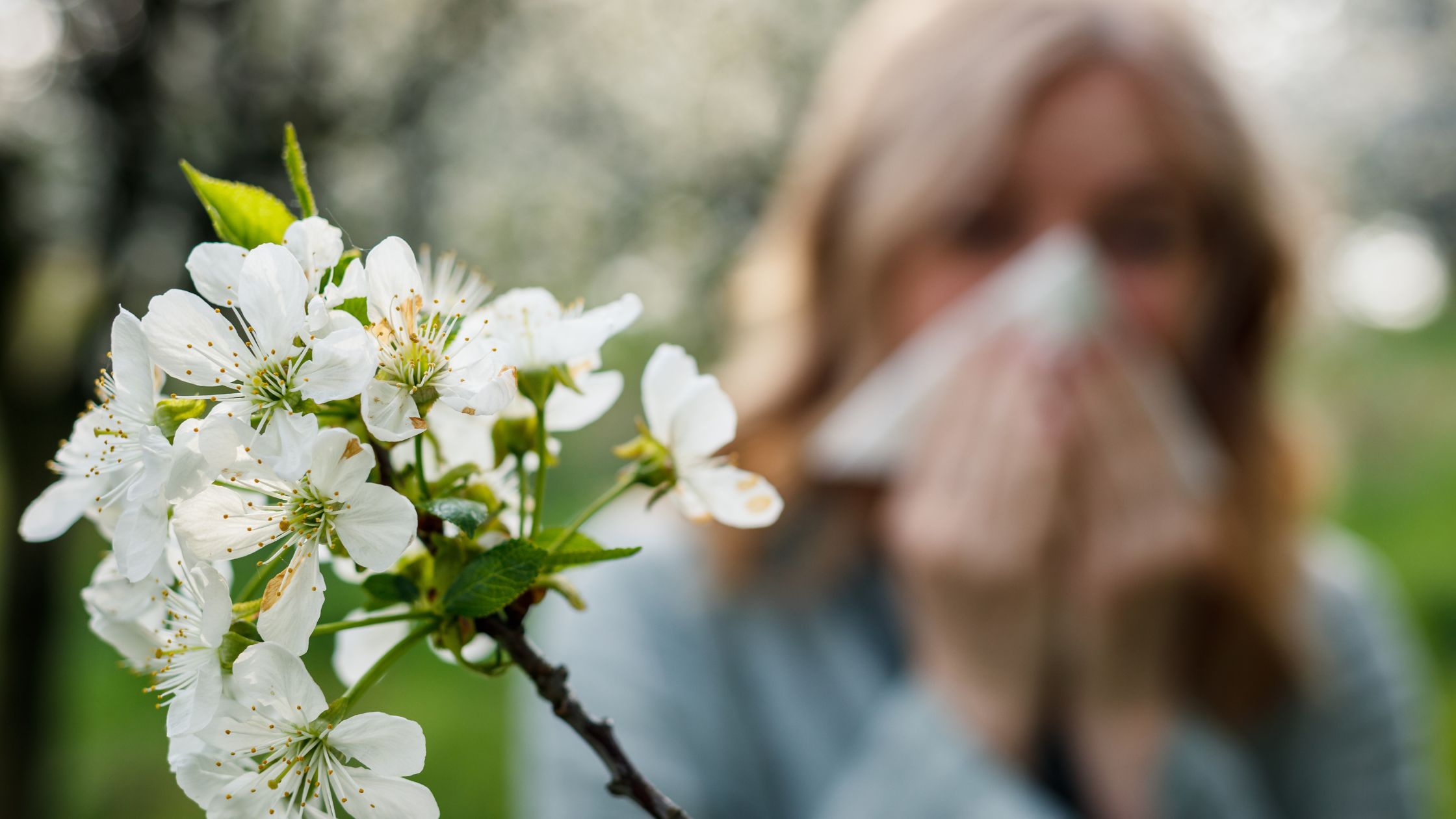 Prep Your Skin for Spring Allergies: Combatting Sensitivity & Redness